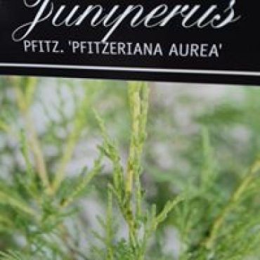 produit